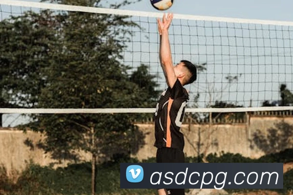 pg官网服务体系